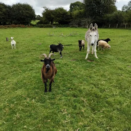 La Grange Aux Animaux بيت للعطل Tollevast