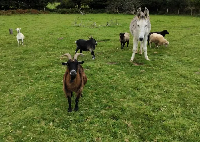 La Grange Aux Animaux Hébergement de vacances Tollevast